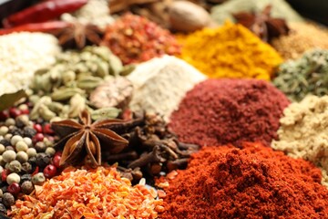 Many different aromatic spices as background, closeup