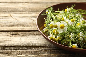 Fresh chamomile flowers in bowl on wooden table, closeup. Space for text