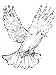 Fototapeta premium Elegant White Dove in Flight A Detailed Pencil Sketch Illustration