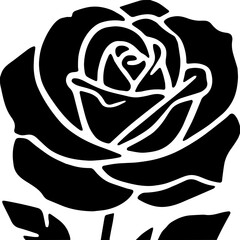 black and white rose