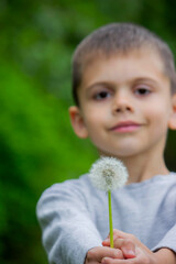Boy blowing on a dandelion. Allergy.