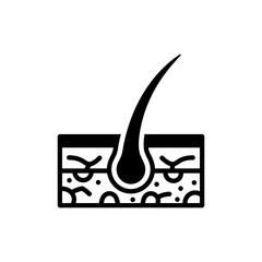 Hair Follicle Root and Shaft Anatomy Medical Diagram Image