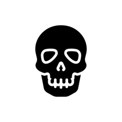 Front view of human skull showing facial bone structure