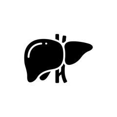 Liver with hepatic veins detailed human anatomy image