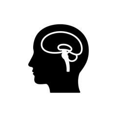 Top back view of human brain parietal lobe anatomy
