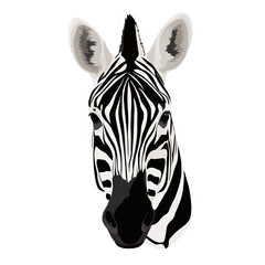 Close-up of a zebra's head showcasing its striking black and white stripes in a natural habitat setting