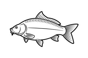 Common Carp Outline Art & Illustration