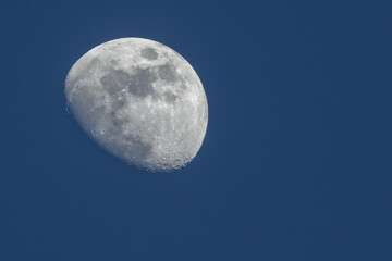 Gibbous moon shining in the blue sky