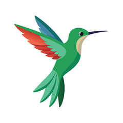 Colorful cartoon hummingbird vector illustration depicting flight isolated on a white background