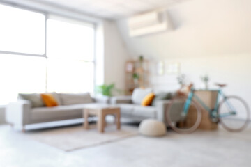 Blurred view of living room with bicycle, sofas and plants