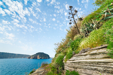 Scenic view cliffside with green vegetation overlooking blue Mediterranean Sea on Procida Island, Italy. Clear sky with scattered clouds over natural landscape, island in distance.