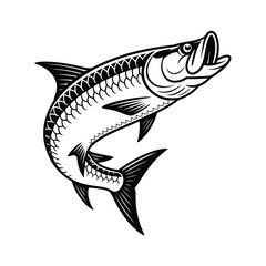 Vector Tarpon Leaping Art & Illustration, Fish vector on a white background