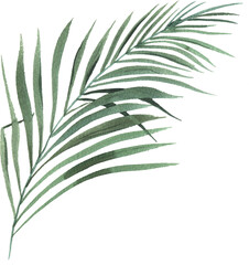 Watercolor hand painted tropical leaf. Green jungle foliage clip art perfect for summer wedding invitation and party card making