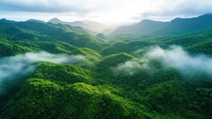 This breathtaking aerial photograph captures the lush, green mountain landscape, shrouded in mist, showcasing the serene beauty of nature and the environment's tranquility.