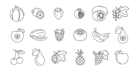 Set of line fruit icons. Contains apple, banana, grapes, strawberry, watermelon, persimmon, lemon, pear, pineapple, kiwi and more. Vector
