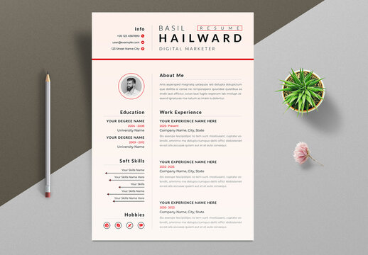Modern Resume Template Layout