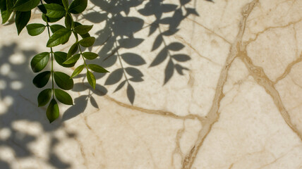 A high-key photograph of green leaves casting dramatic shadows on a cream-colored marble surface.
