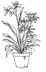 Different houseplants in flower pots on white background
