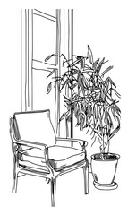Different houseplants in flower pots on white background
