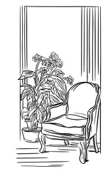 Different houseplants in flower pots on white background
