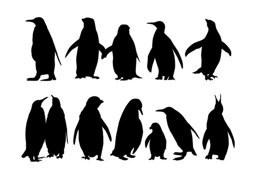 penguin silhouettes collection vector set