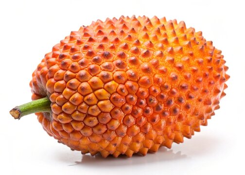 barbadine isolated on white background