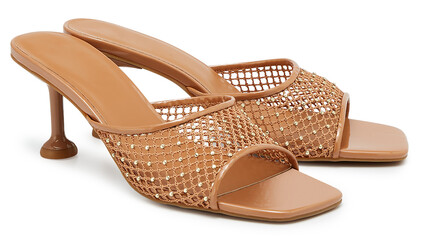 fashionable women shoe