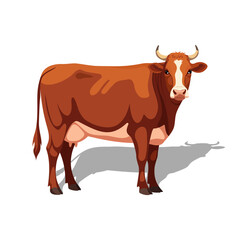 Brown Cow Standing
