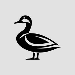 Vector illustration of a white duck, a wild waterfowl bird, isolated on a white background