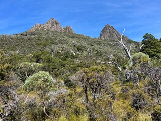 Cradle Mountain National Park, Tasmania, Australia