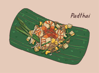 thai food padthai illustration vector