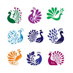 peacock editable colour  vector set 3