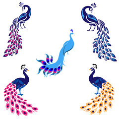 peacock editable colourful  vector set