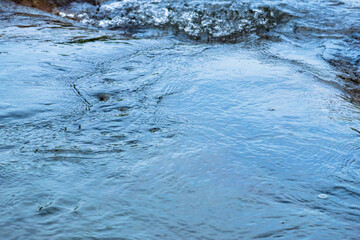 5月の水面　川の流れ51