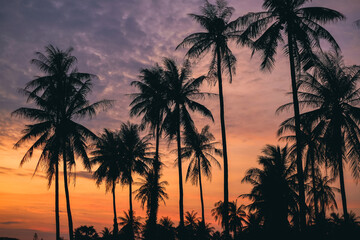 sunset over the sea