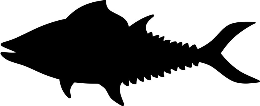 Albacore Tuna Silhouette Vector Shadow Illustration
