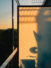 Golden light filtering through frosted glass, casting delicate plant shadows on sleek balcony...