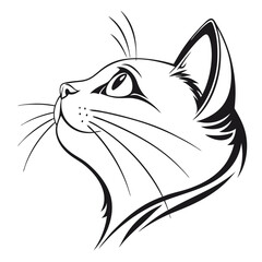 vector image of a cat