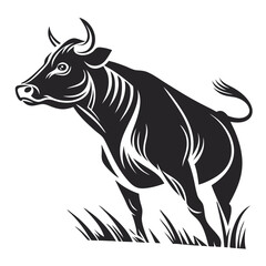 black and white cow