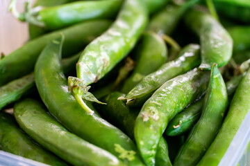 Many fresh green peas in pods close up background,