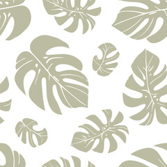 Elegant monstera leaves pattern on a white backdrop. Seamless background. Vector illustration