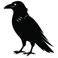 Fototapeta premium crow on a white background