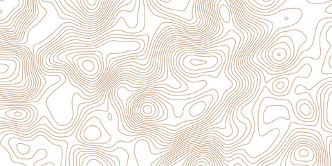  Topography wave line grid map. white wave line geography landscape Topo contour map on white background. Geographic mountain relief diagram line wave carve pattern.