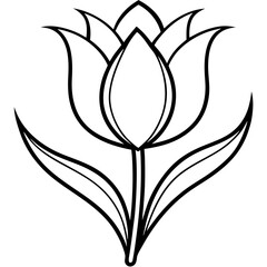 tulip line art