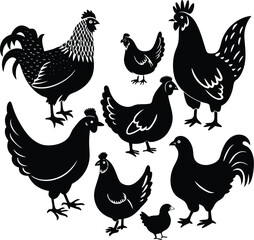 vector set of chicken