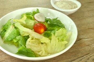 mixed vegetable salad on plate dressing chop chicken in Japanese sesame cream sauce