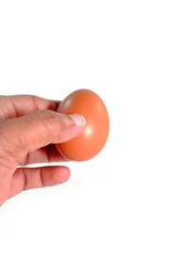 brown egg holding hand on white background closeup view 