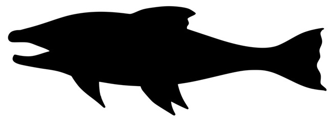 Arctic Char Silhouette Shadow Fish Vector Drawing 