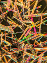 Needle-like crystals under polarized microscope showing vivid birefringence
