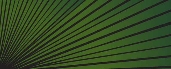 Obraz premium natural tropical green leaf palm leaf texture close up. vector